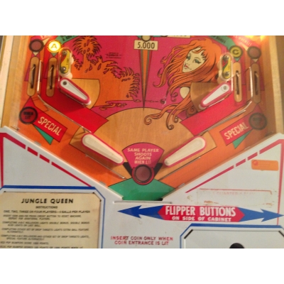 Gottlieb Jungle Queen Pinball Machine - 1977 Four Player Game in Excellent Condition